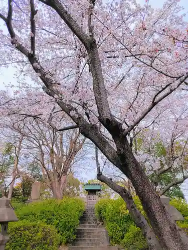 織田信長公社の自然