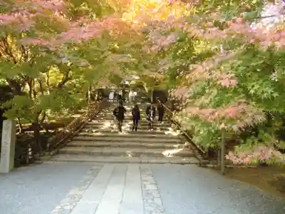 龍安寺(京都府)