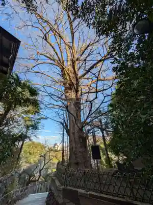 王子神社(東京都)