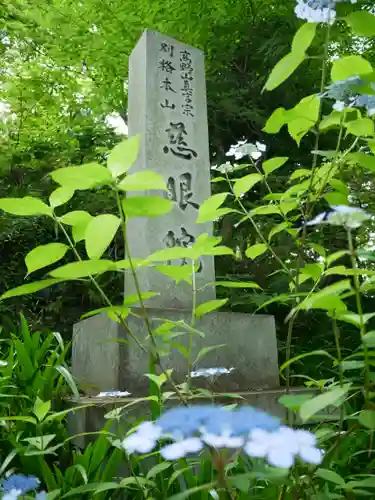 観音山慈眼院（高崎観音）(群馬県)