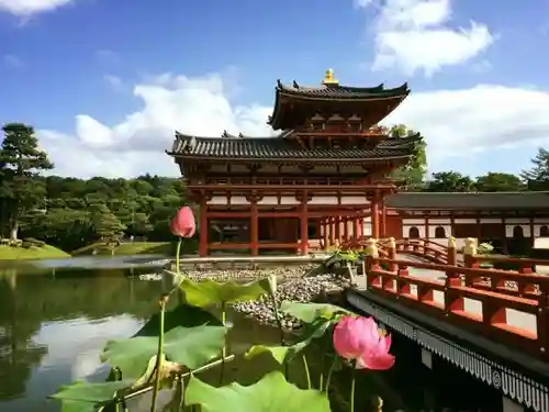 平等院の建物その他