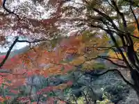 武蔵御嶽神社(東京都)