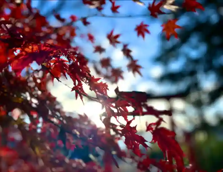 生島足島神社(長野県)