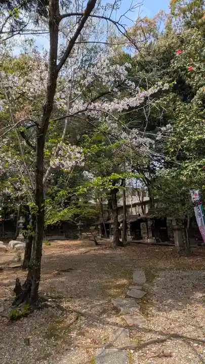離宮八幡宮(京都府)