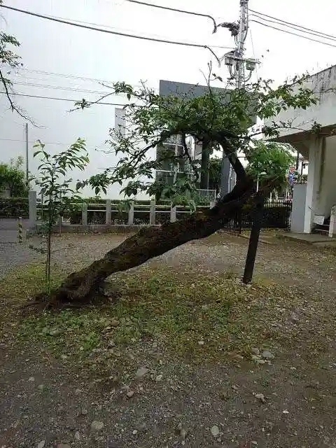 五ノ神社の庭園