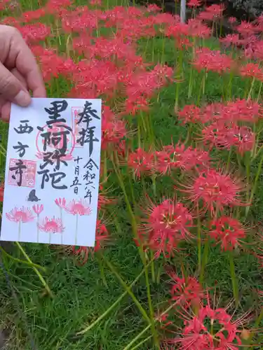 横浜　西方寺(神奈川県)