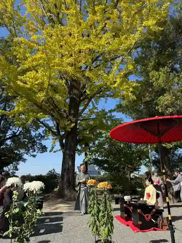 美奈宜神社(福岡県)