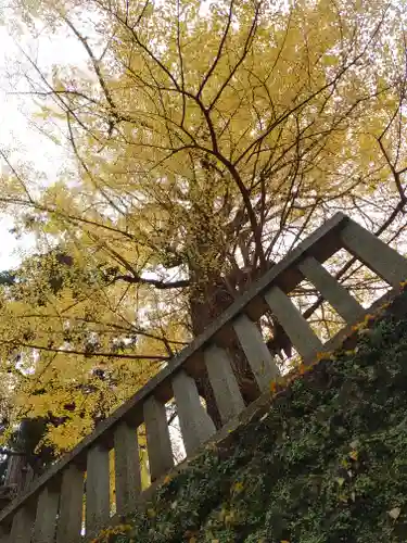 事任八幡宮の景色