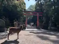 春日大社(奈良県)