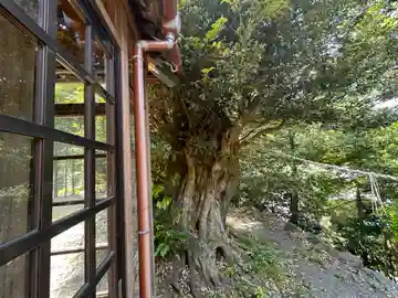 日枝神社(福井県)