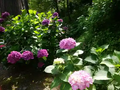 円覚寺(神奈川県)