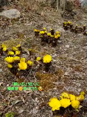 石都々古和気神社(福島県)