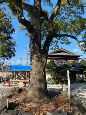 久居八幡宮（野邊野神社）(三重県)