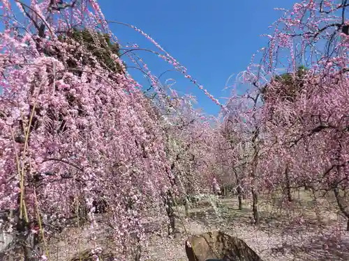 城南宮(京都府)