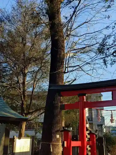 大谷場氷川神社(埼玉県)