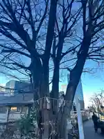 太田姫稲荷神社跡(一口神社)(東京都)