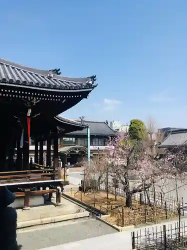 佛光寺のその他建物