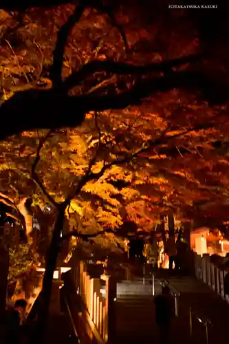 大山阿夫利神社の景色