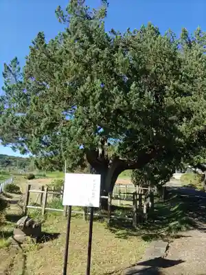 正宗寺(茨城県)