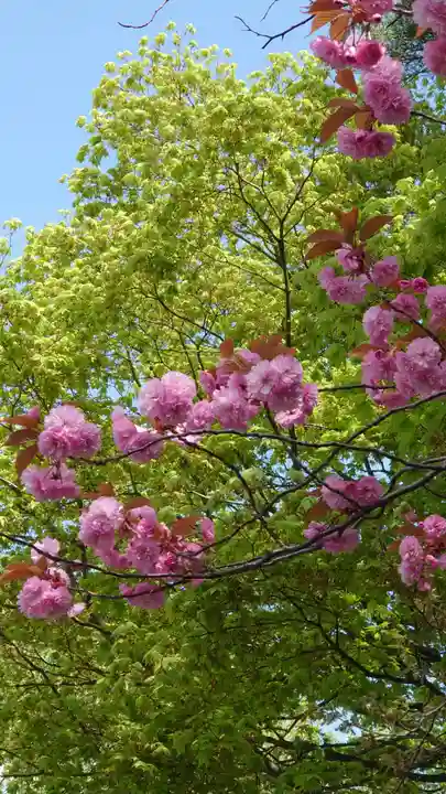 相馬神社の自然