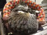 御誕生寺(猫寺)(福井県)