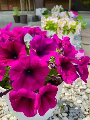 伊達神社(北海道)