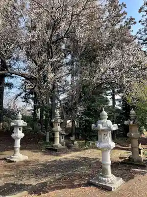 天満宮(栃木県)