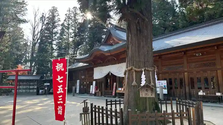 穂高神社本宮(長野県)