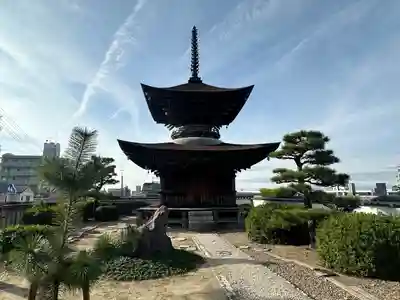 大樹寺(松安院大樹寺)(愛知県)