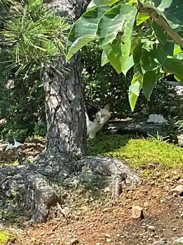 大仙寺(岐阜県)