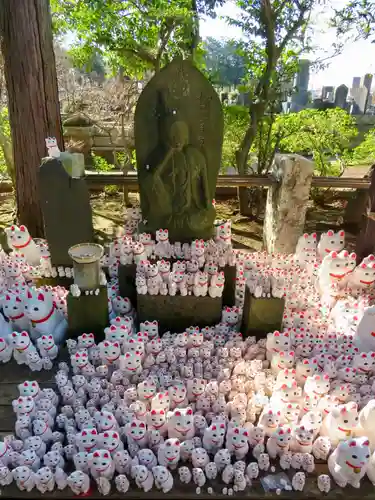 豪徳寺の狛犬