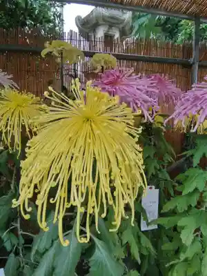 八幡八雲神社の庭園