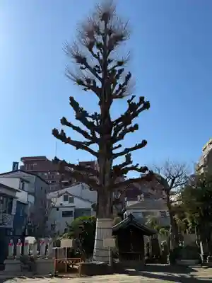 福王山  慈眼寺(東京都)