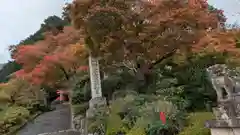 善峯寺(京都府)