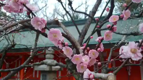 北野天満宮の自然