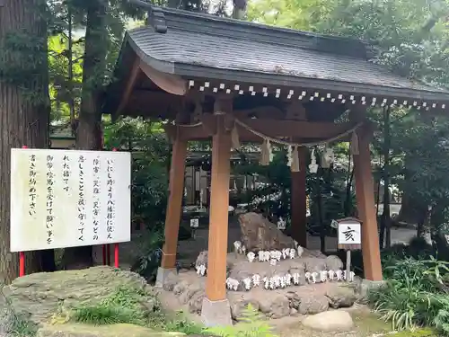 渋川八幡宮(群馬県)