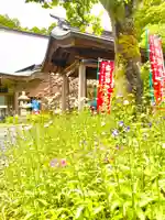 国上寺(新潟県)