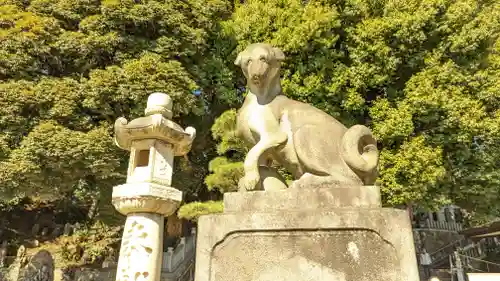 瀧泉寺（目黒不動尊）の狛犬