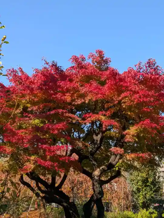 福蔵院(東京都)