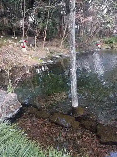 富士山本宮浅間大社の御朱印