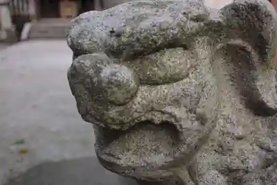 金崎宮の狛犬