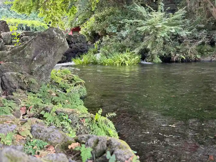 富士山本宮浅間大社(静岡県)