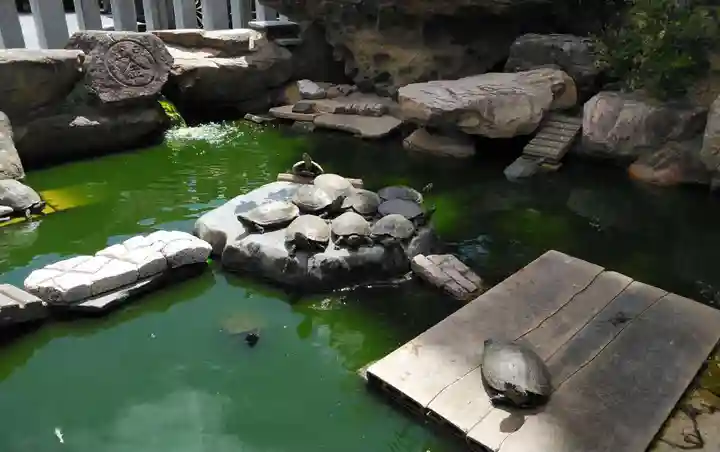 亀山八幡宮の庭園