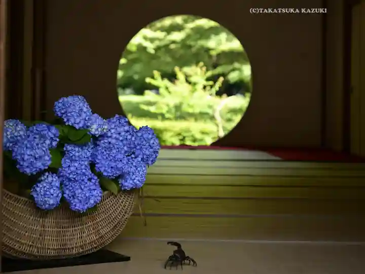 明月院(神奈川県)