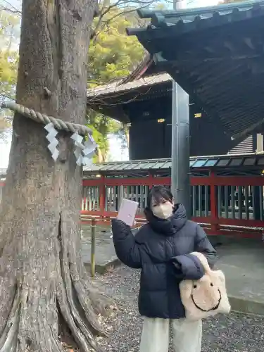 玉前神社(千葉県)