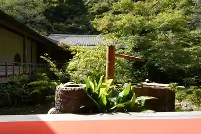 実相院門跡の手水舎