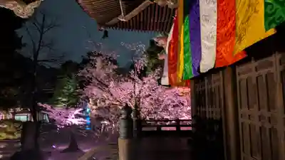 知恩院(京都府)