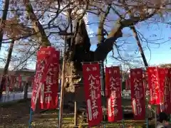 秩父今宮神社の自然