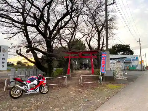 大国神社の鳥居