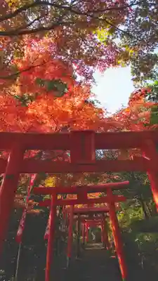 岐阜稲荷山本社の鳥居